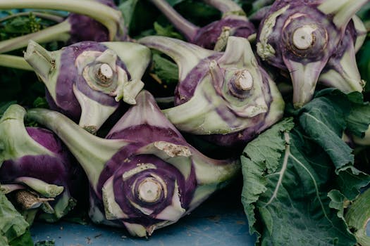 fresh seasonal salad ingredients