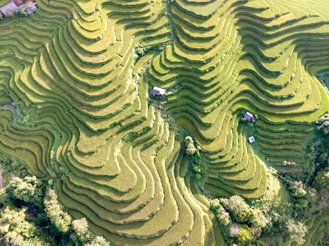 aerial view of various seasonal vegetables